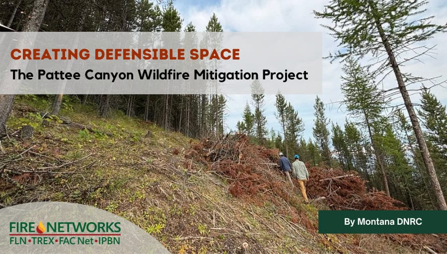 creating-defensible-space:-the-pattee-canyon-wildfire-mitigation-project