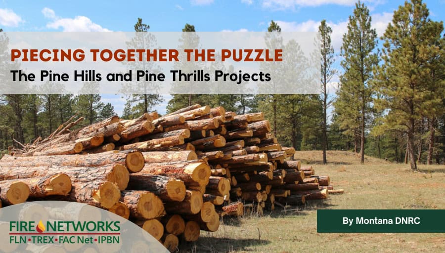 piecing-together-the-puzzle:-the-pine-hills-and-pine-thrills-projects