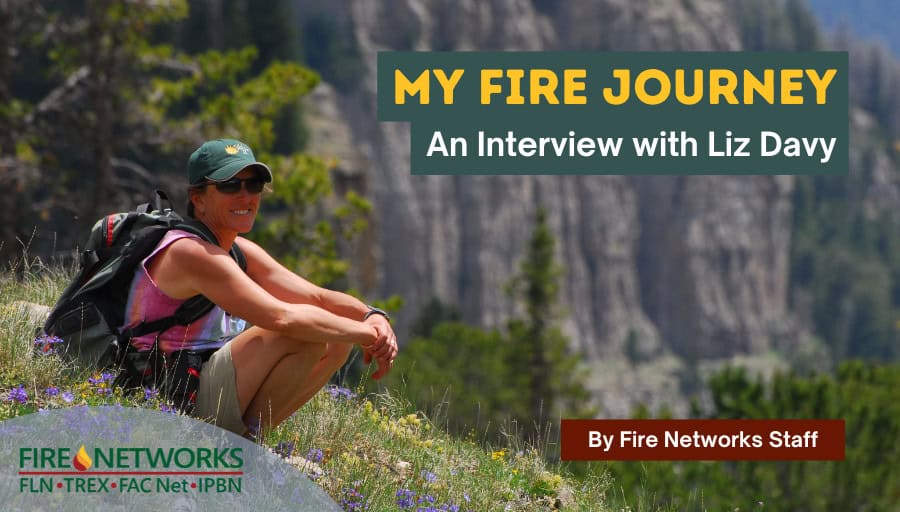 my-fire-journey:-an-interview-with-fire-practitioner-liz-davy