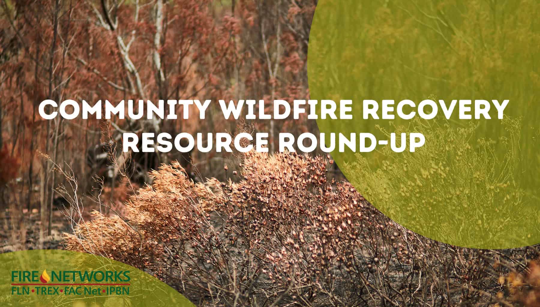 community-wildfire-recovery-resource-round-up