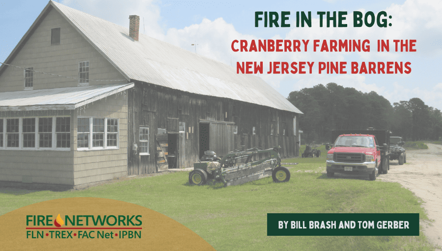fire-in-the-bog:-cranberry-farming-in-the-new-jersey-pine-barrens