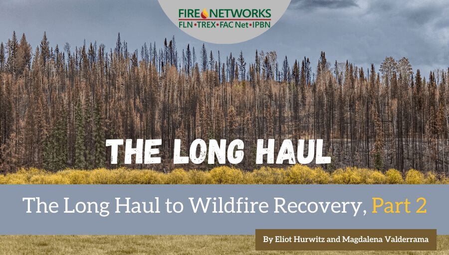 the-long-haul-to-wildfire-recovery,-part-2