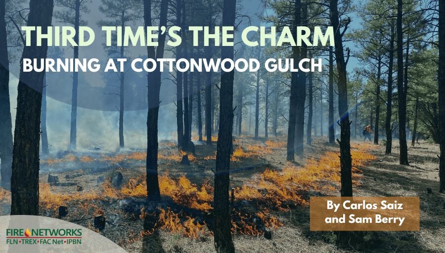 third-time’s-the-charm:-burning-at-cottonwood-gulch 