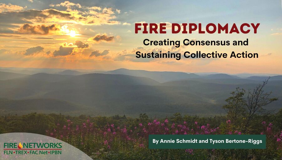 fire-diplomacy:-creating-consensus-and-sustaining-collective-action