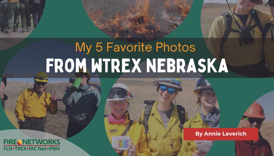my-five-favorite-photos-from-wtrex-nebraska