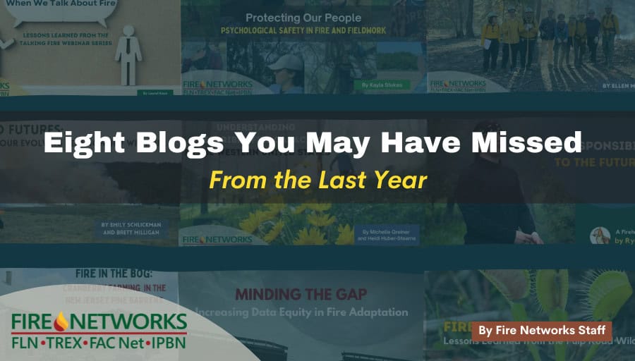 eight-blogs-you-may-have-missed-from-the-last-year